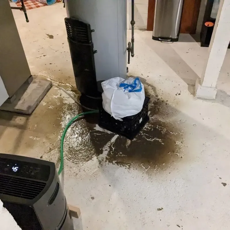 Sewage Backup Cleanup Service in Artesia, NM